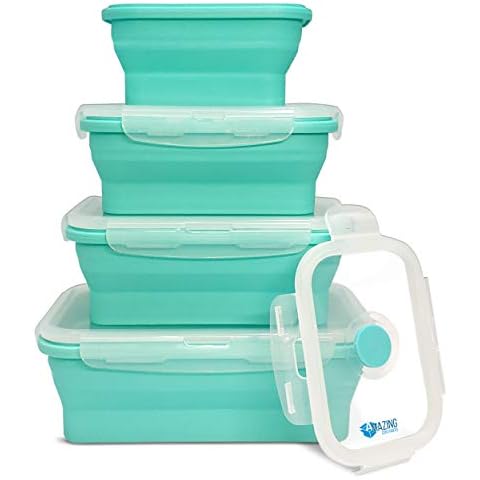 Ichc Set Of 4 Collapsible Storage Containers - Space Saving Food