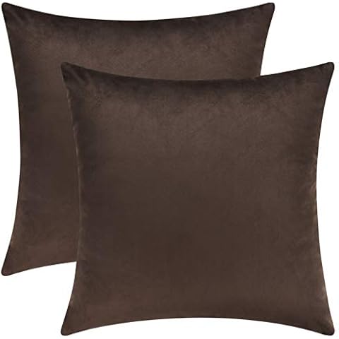 https://ipics.hihomepicks.com/product-amz/mixhug-set-of-2-cozy-velvet-square-decorative-throw-pillow/31U2Z0pQQqL._AC_SR480,480_.jpg